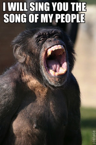 Chimpanzee singing