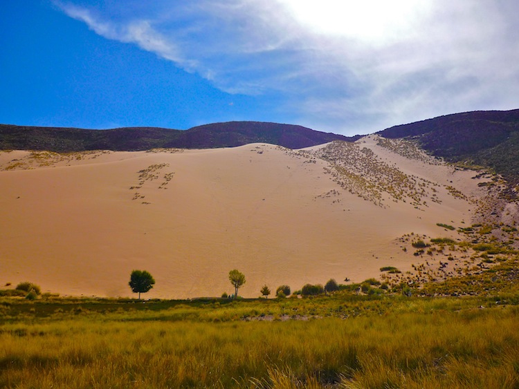 Desert in Argentina