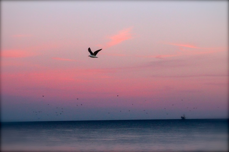 Pink sunset in Santa Barbara