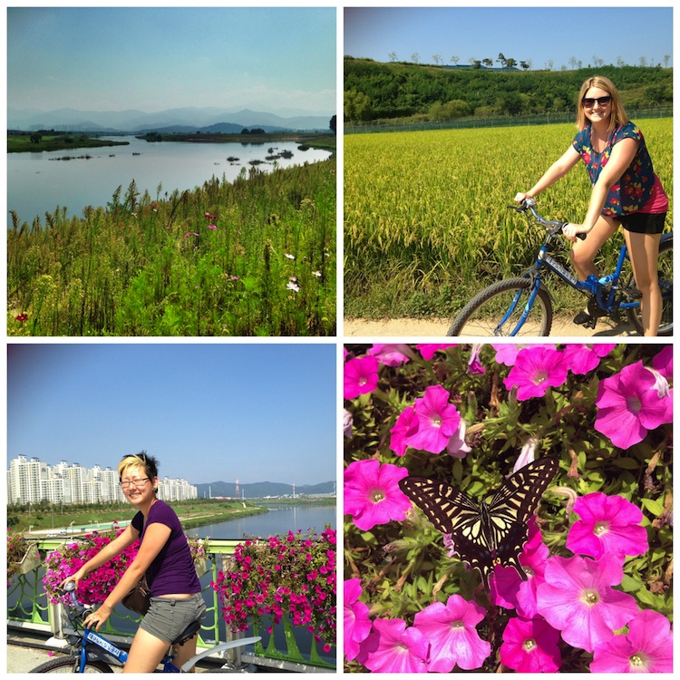 Biking by the river in Daegu