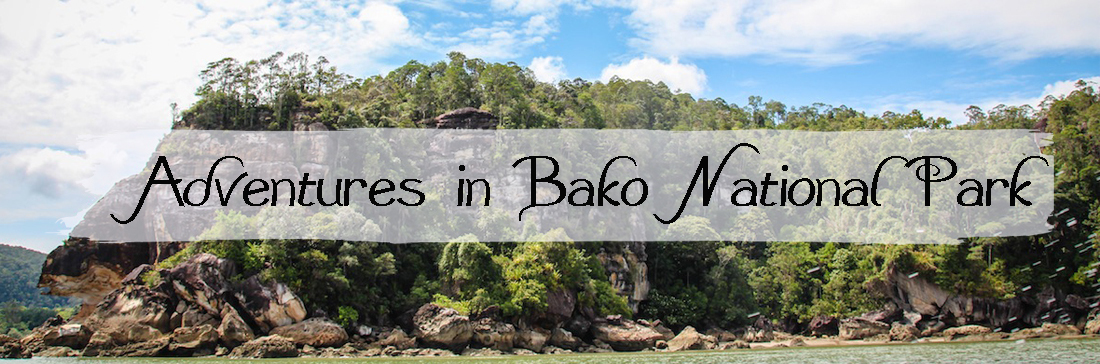 Bako National Park