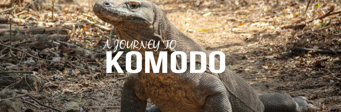 Komodo island boat trip