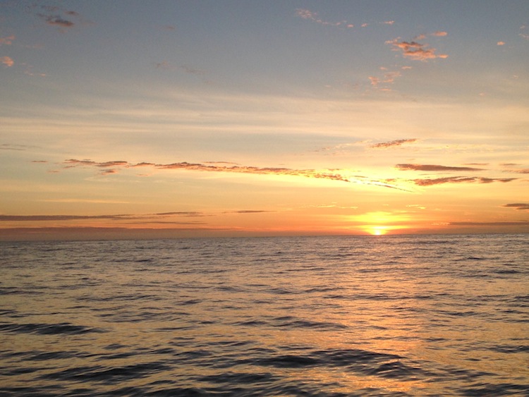 New Zealand sunrise Kaikoura