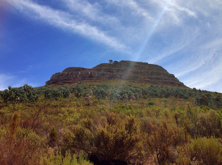 Traveling Africa solo - Lion's Head Cape Town