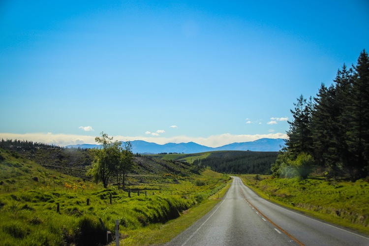 A New Zealand Road Trip