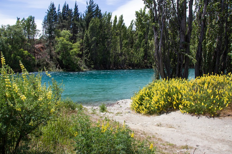 A New Zealand Road Trip