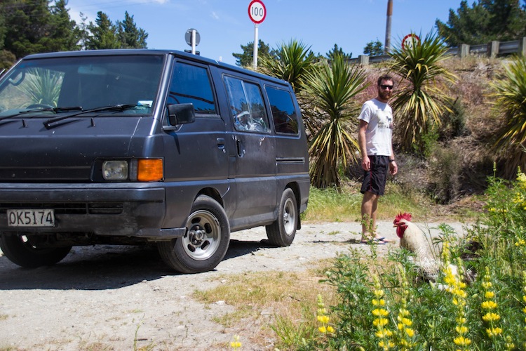 A New Zealand Road Trip