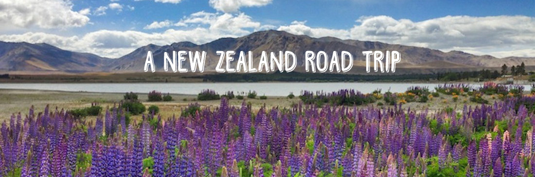 A New Zealand Road Trip