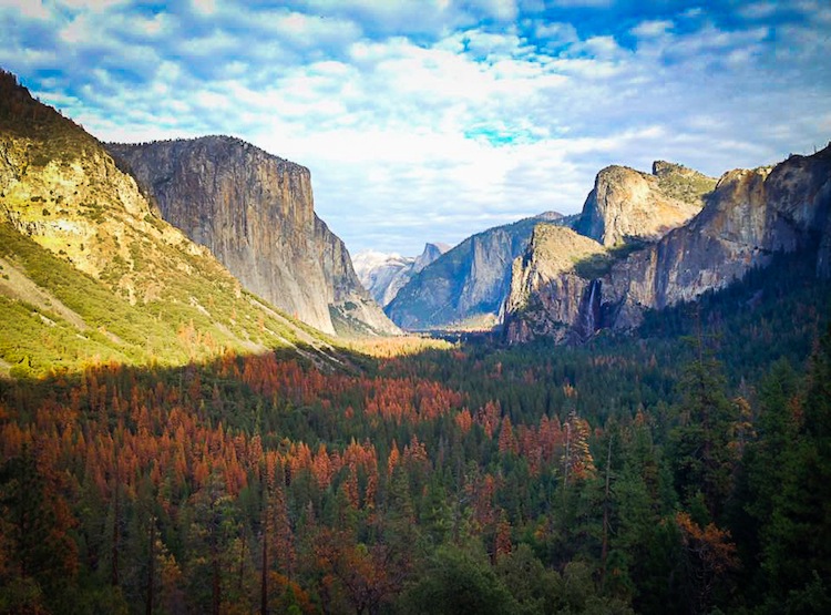 Yosemite Valley