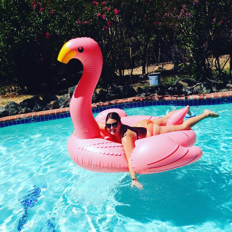 swimming pool flamingo