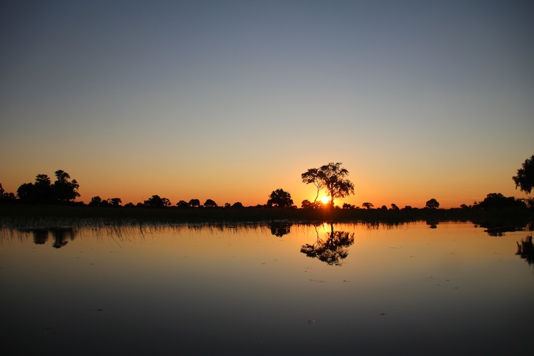 safari in Botswana